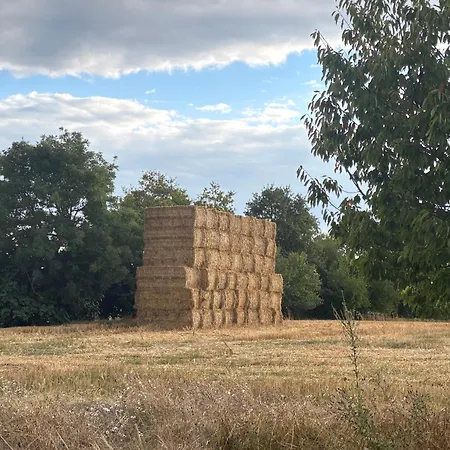 La Vesarnie Kır Evi Montaigu-de-Quercy