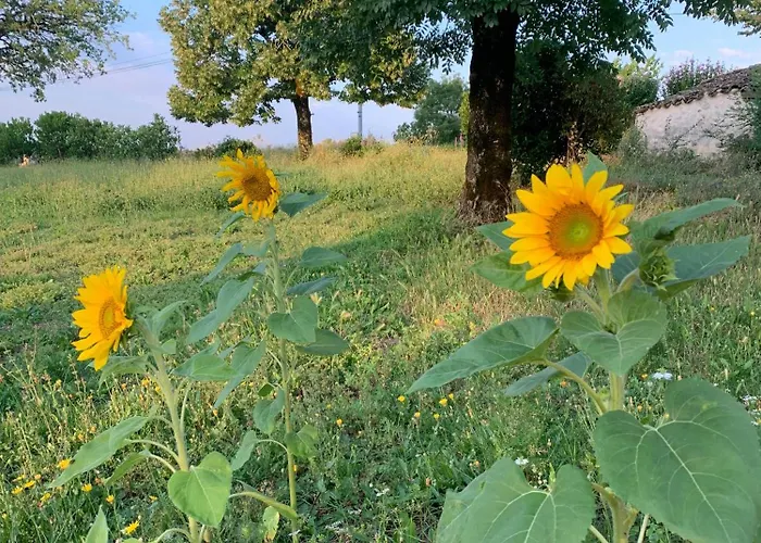 La Vesarnie Montaigu-de-Quercy