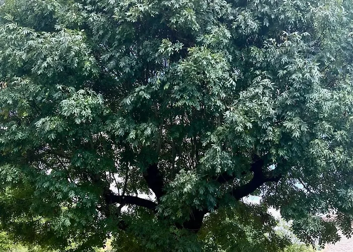 La Vesarnie Kır Evi