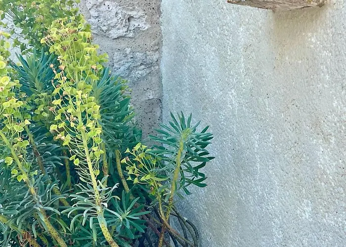 Kır Evi La Vesarnie *