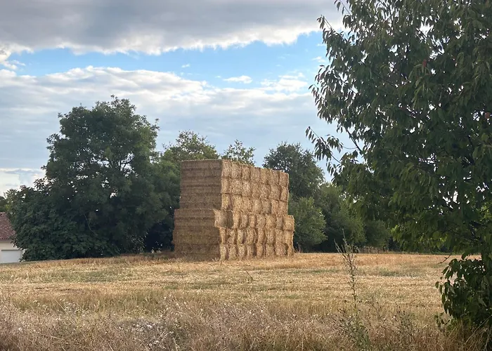 La Vesarnie Kır Evi Montaigu-de-Quercy