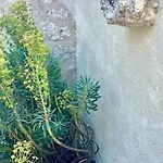 Country house La Vesarnie *