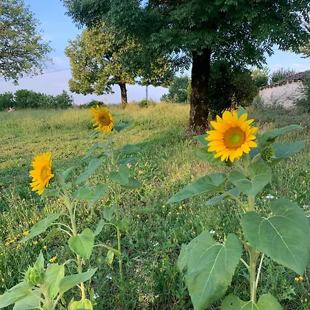 La Vesarnie Montaigu-de-Quercy