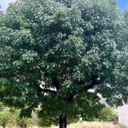 La Vesarnie 컨트리하우스