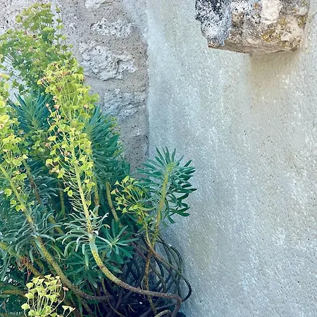 컨트리하우스 La Vesarnie *